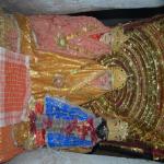 Vraj-Yatra-2014- (86)